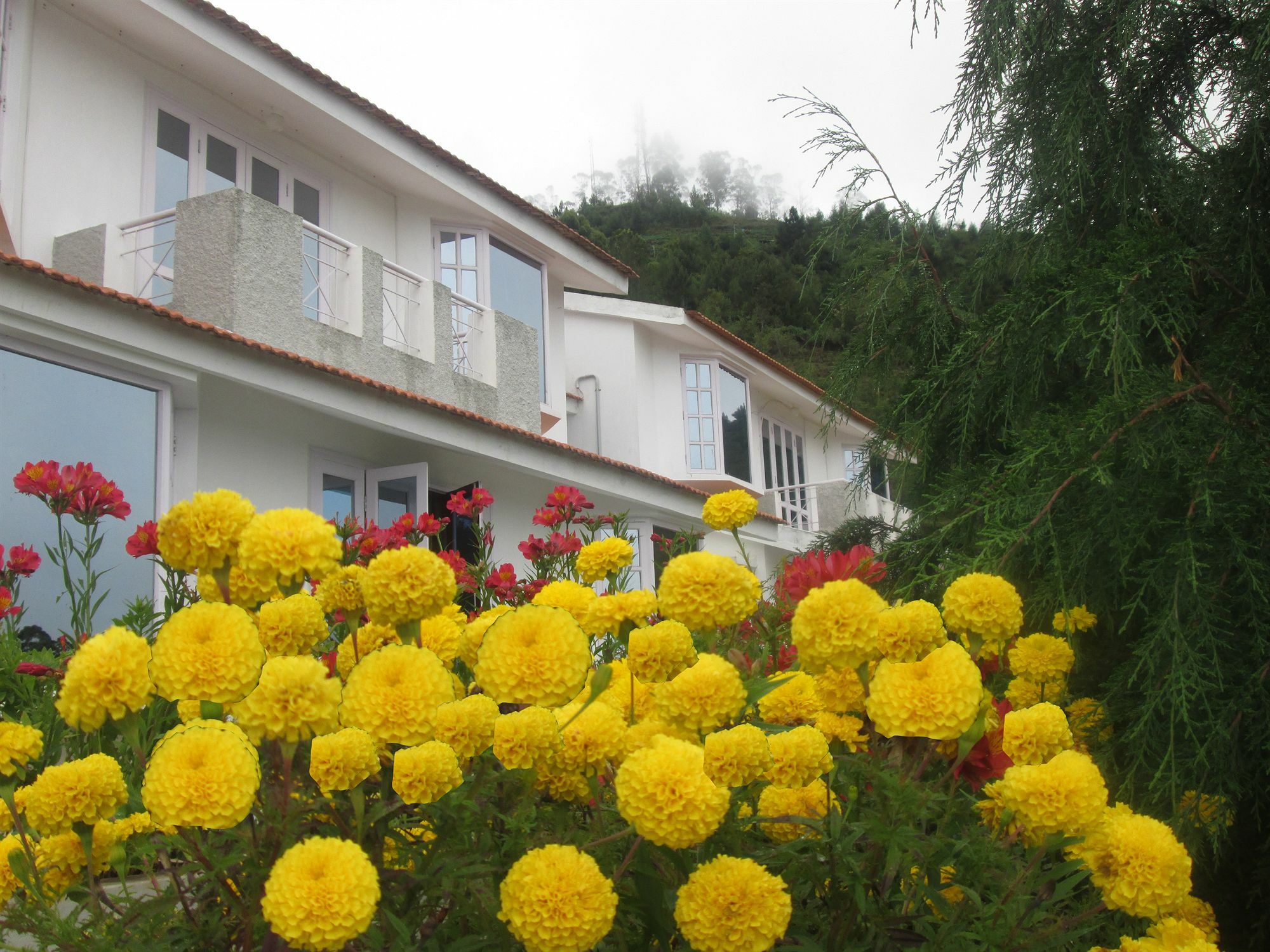 Country Club Valley Vista Kodaikanal Exteriér fotografie